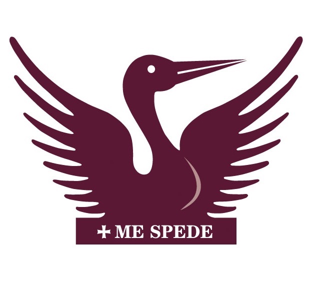 斯坦福中学 logo