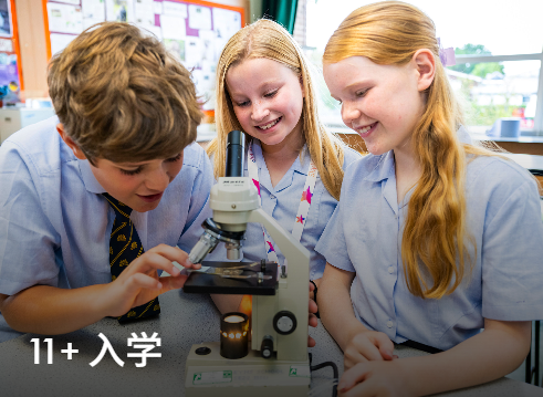 艾霖学校