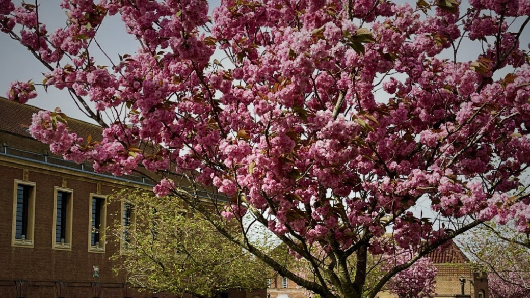 Merchant Taylors' School